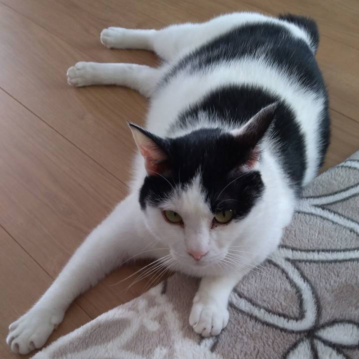 Eb3b5c79 298d 4944 8748 0a21574a6c24 1524136116718