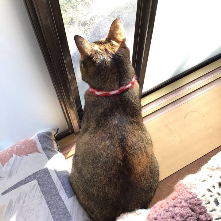 Eb3ba838 ab05 47bd b45d 8a6fd68a812c 1605063022611