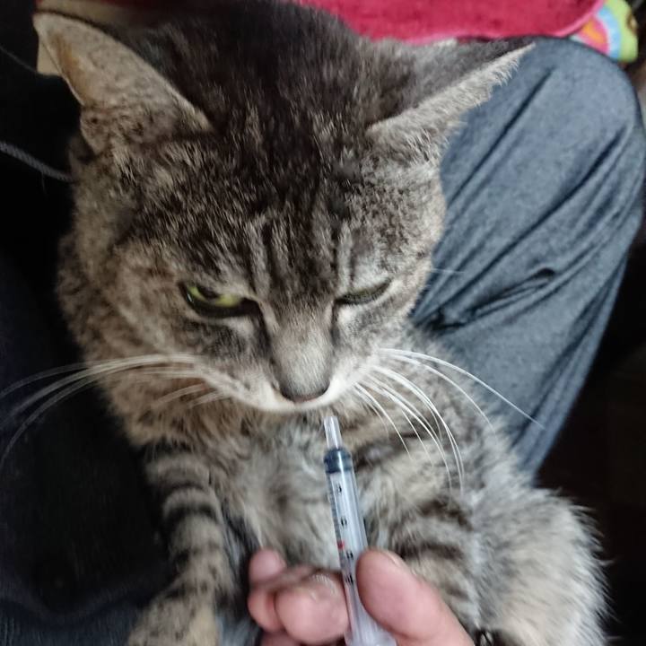 Eb3bb29d 1ca8 4316 bf4e 3075dd04248d 1581457830748