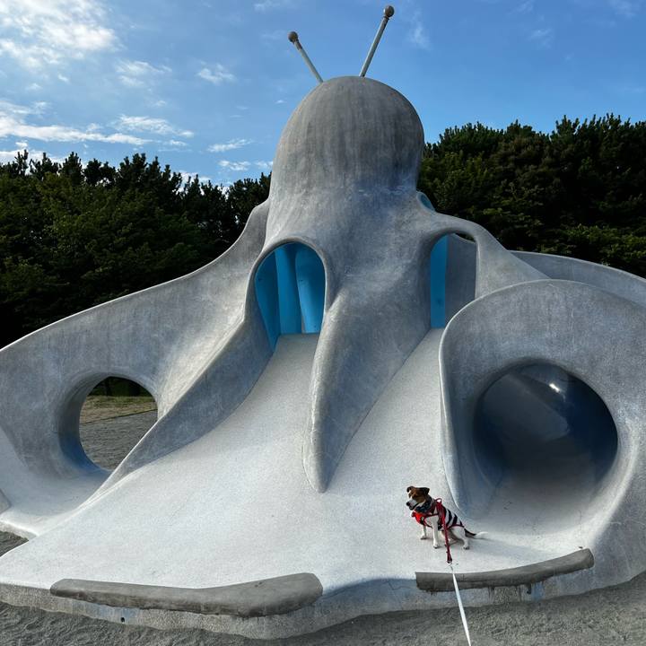 Eb3bf51c f10d 43c7 89f8 fe941a65d42f 1754740157478