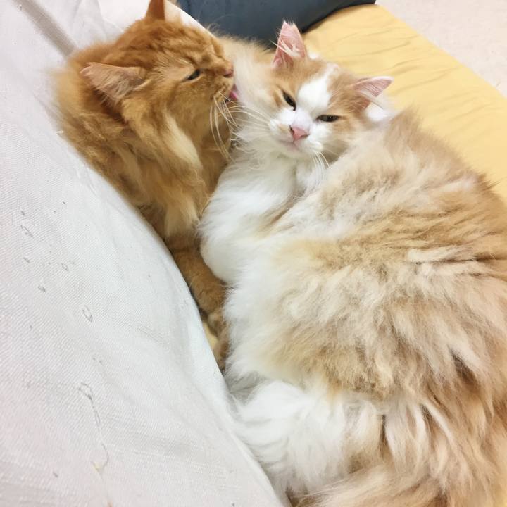 Eb3bfb0e b432 4c92 845e 339e1d8f18fe 1541197011692