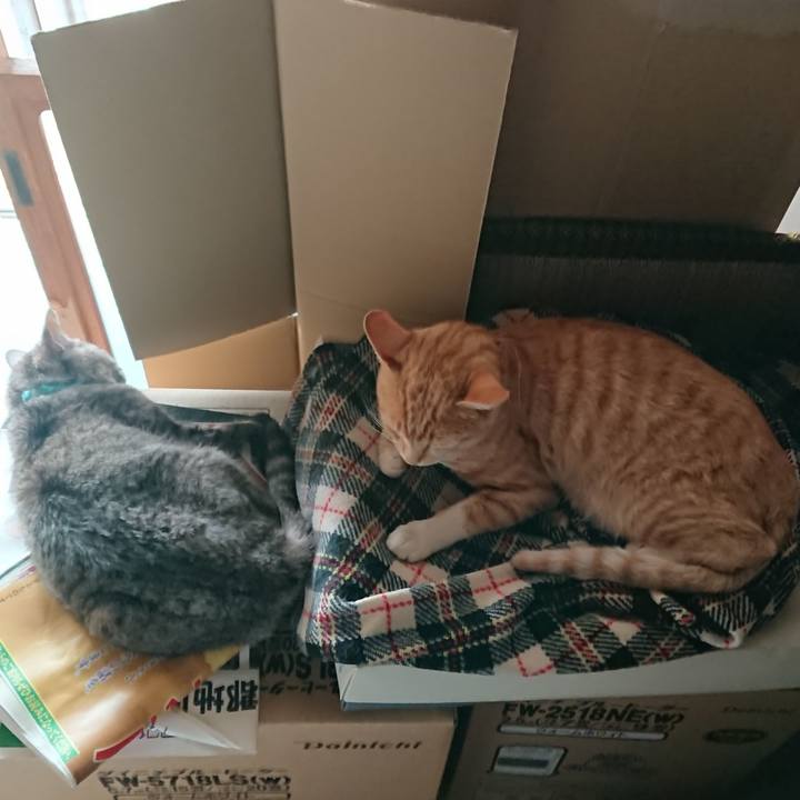 Eb3c2aed d0cc 4ea8 86fd a7876c54ad72 1563688184987