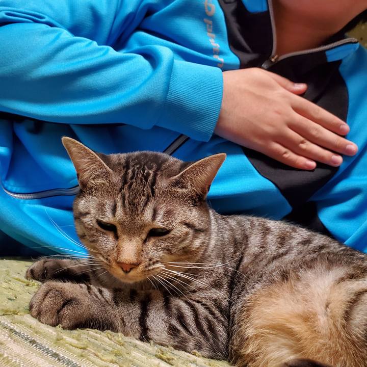 Eb3c2d53 fc45 4414 997b f0e9e0ccfcc7 1699890931679