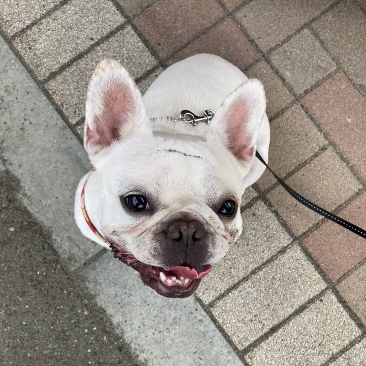 Eb3c8483 48dc 4631 aecf f61db3c3d0d1 1661218258157