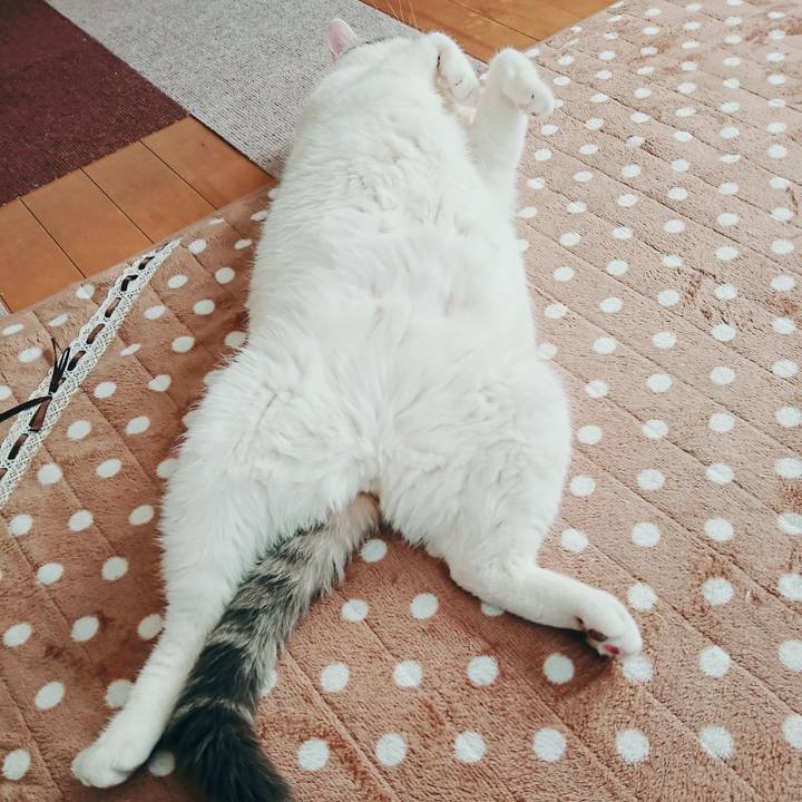 Eb3cabd8 1467 4b08 8d98 ef711203d8ce 1520733296881