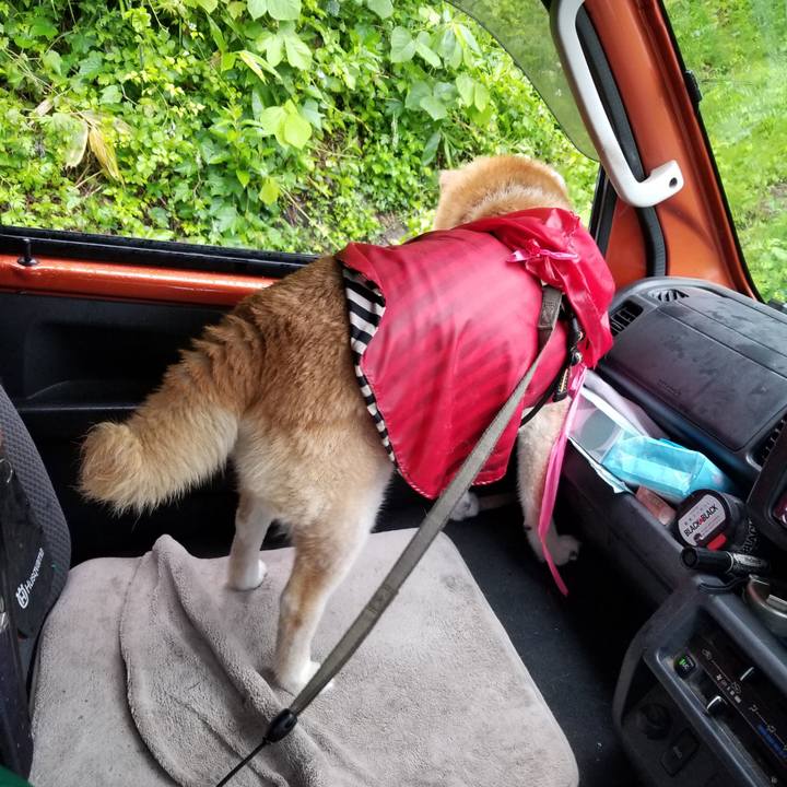 Eb3cb86a 6a02 4f3b b74d 93721f060931 1719128555184