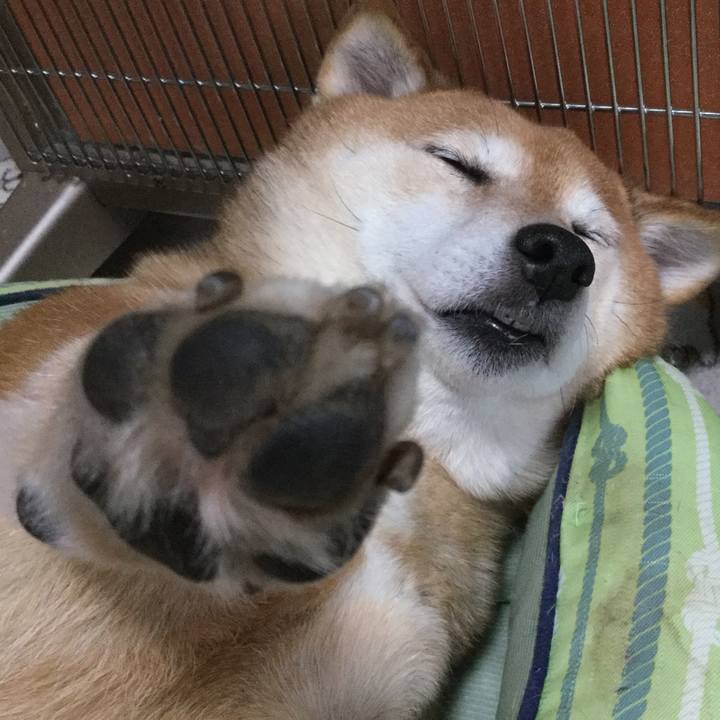 Eb3cc8b8 9984 48e7 894b 97e6723c5df2 1611737353804