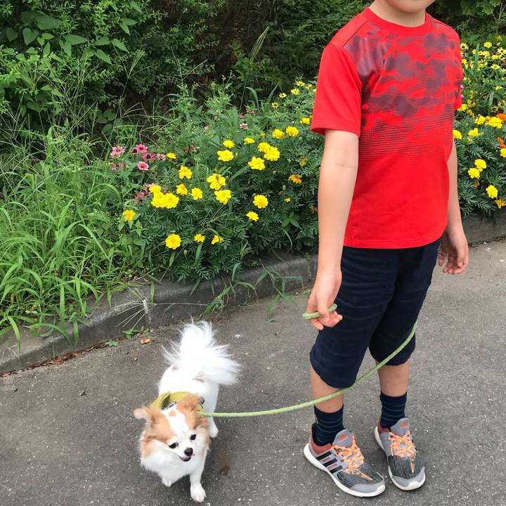 Eb3ce2e6 03af 4c21 9450 944ffa37e66c 1566718411046