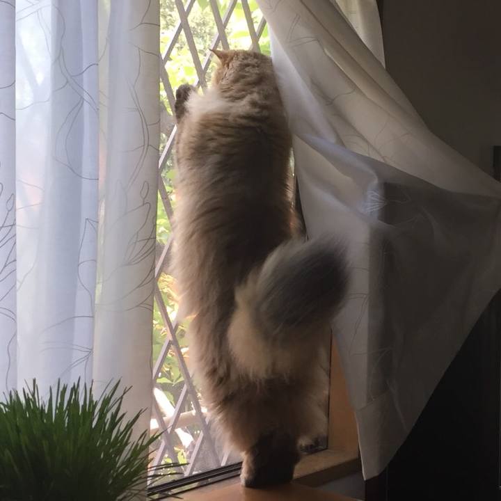 Eb3d284a f79f 4eae ab9f e7d974580ee9 1524365322113