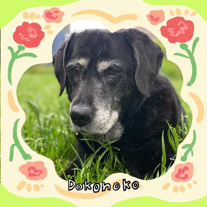 Eb3d2c4b 0f18 4a64 abf2 a726511ed87a 1715068931608