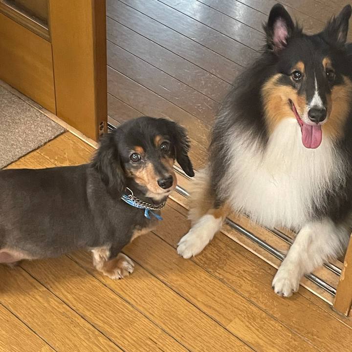 Eb3d3785 96be 4982 8693 d408665cb1cf 1631829833185