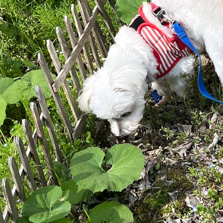 Eb3d3877 6b98 441a a09f 4224ac6ca682 1649821327790