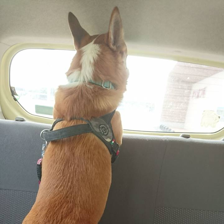 Eb3d3a38 0c69 481e bbef 9371f2ae2e32 1629942122651