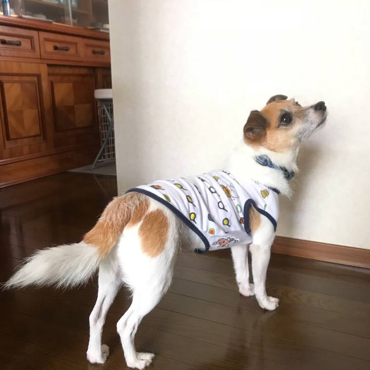 Eb3d541b 10eb 41f1 98b9 e24006402e4a 1536639003478