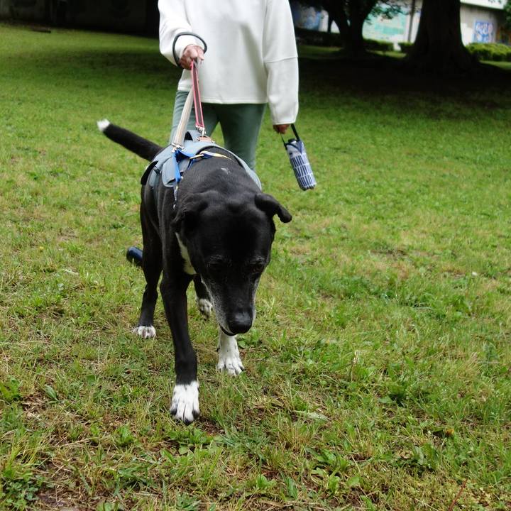 Eb3df6a7 78a1 4abf a621 7cdbcaed6797 1747007670806