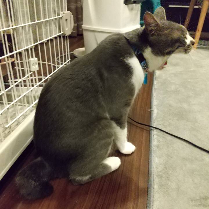 Eb3e1aa6 9604 46f1 99c5 684889b37e41 1597066555279