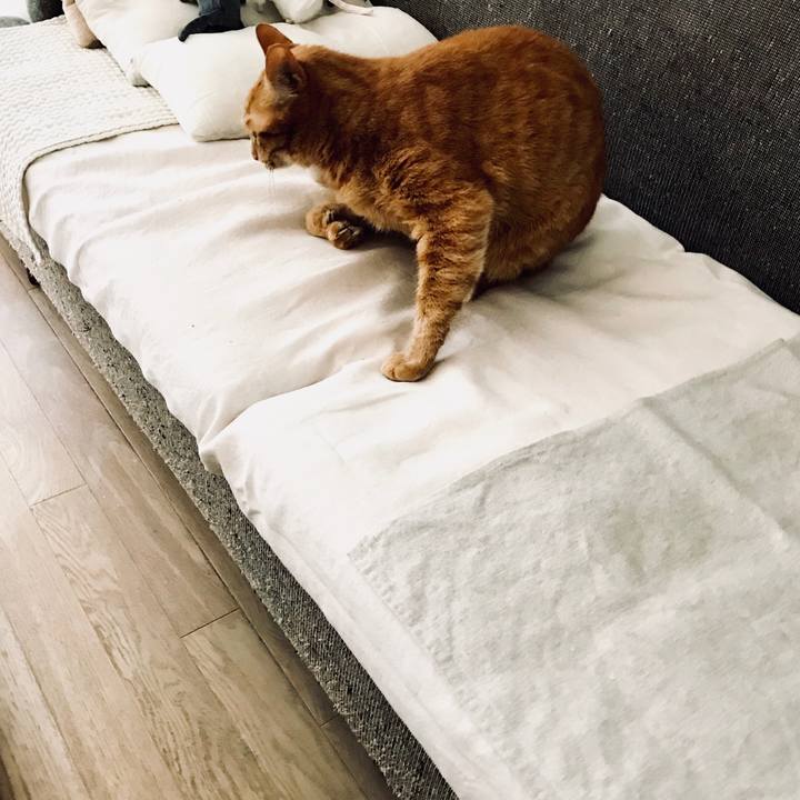 Eb3e2ed4 3205 4e5f 9c36 d9eb46f10e52 1528955825855