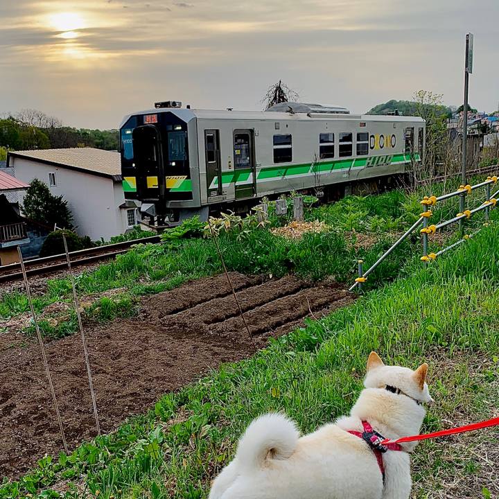 Eb3e996c fbec 4336 8959 acc966f958de 1589577821940