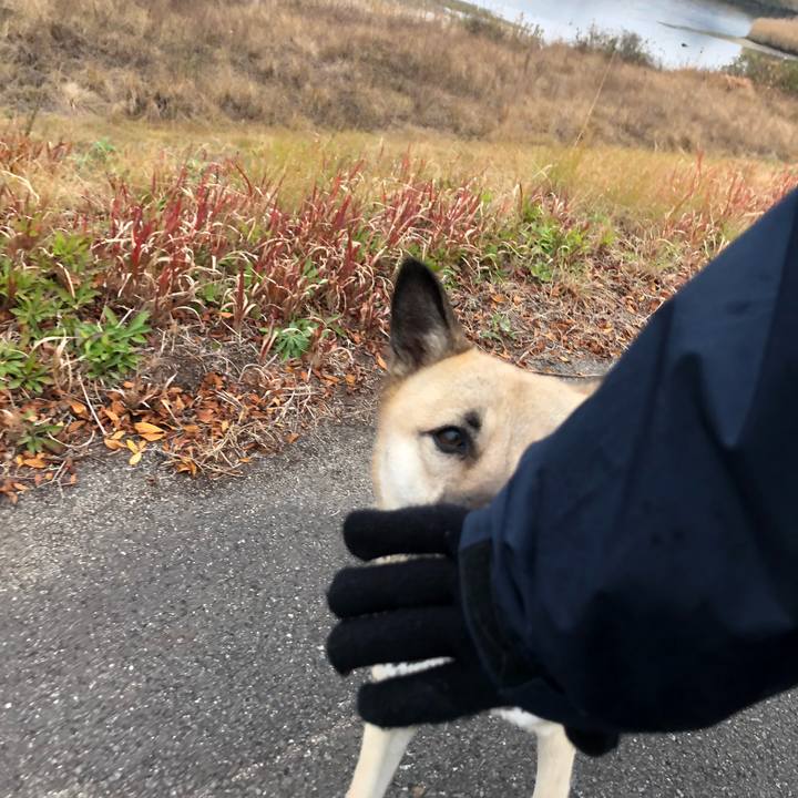 Eb3ef1f6 8065 4fc5 b9b5 64ae7cd83f4b 1576985274131