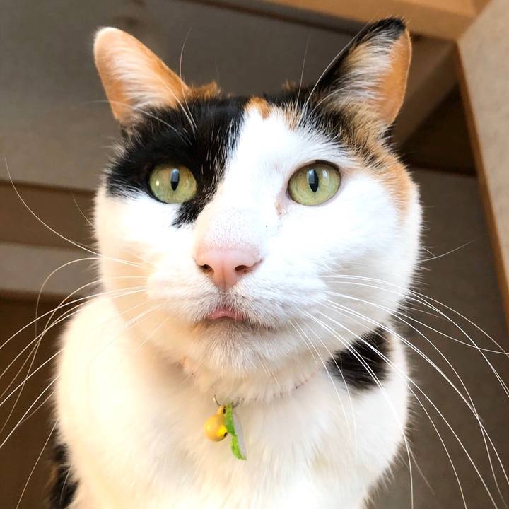 Eb3f0867 4030 4a32 be3a 575b0b19312d 1585868813953