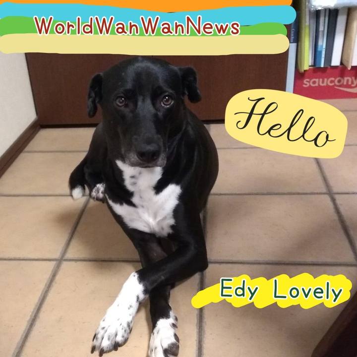 Eb3f0da1 83c9 454d 9f0f 5449464b44c1 1626309532547