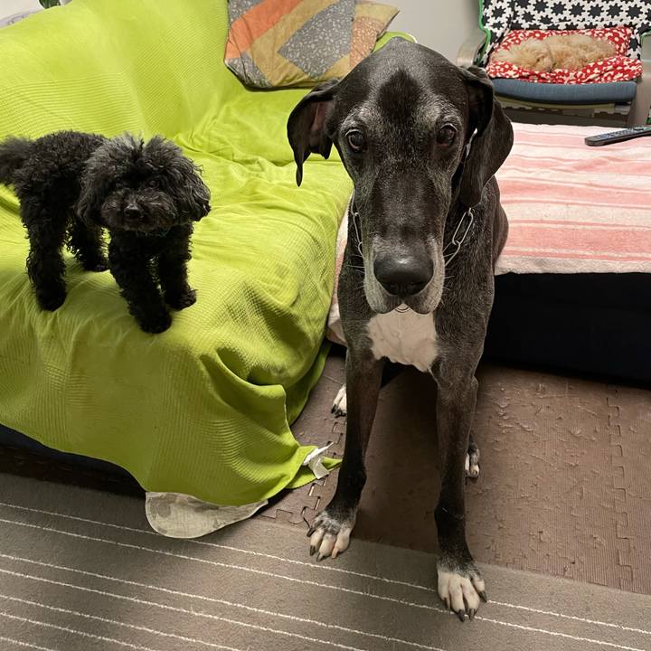 Eb3f1705 8e48 40d8 8a13 2fa723cf310d 1625005985902