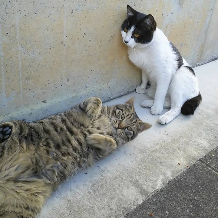 Eb3f372c 1765 49d2 8aed 6f8531734ed6 1554856980035