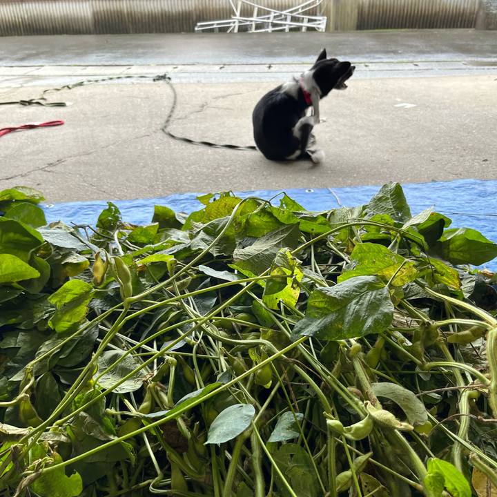 Eb3f48da cadb 400e 9f3e 0c2c826ff064 1665999732547