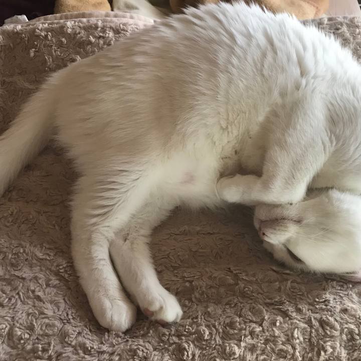 Eb3f7016 b7b5 446d b6f5 70f35571f8fc 1510268646091