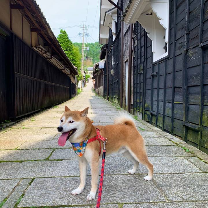 Eb3f9409 d2ef 4943 b107 aa1214100766 1626770332304