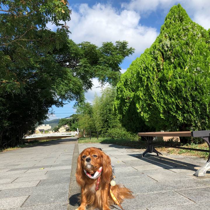 Eb4017a3 8429 4dd5 9461 fcaa75eed9af 1599266341886