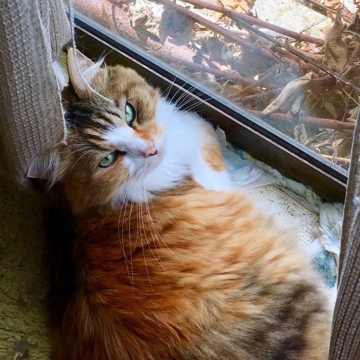 Eb402d43 1134 4326 a5da e005db0f9d95 1569379290382