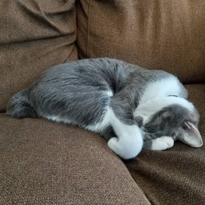 Eb407b86 95a1 4227 84e0 abf852d16aab 1613944293368