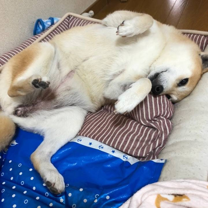 Eb407d93 6783 431d a79d 88c15abe4a72 1558338358901