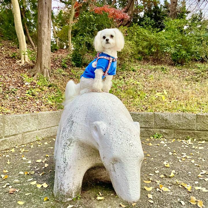 Eb40c4ff bee8 4dc3 ad37 2554bf0932e2 1640688026598