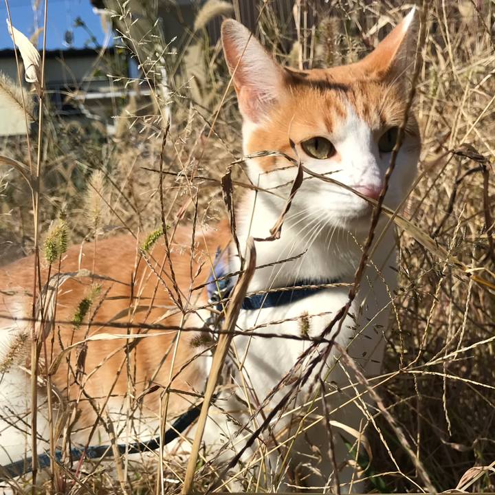 Eb40c78a b356 44f3 bfdf 9dd0c83f8ed8 1510282074391