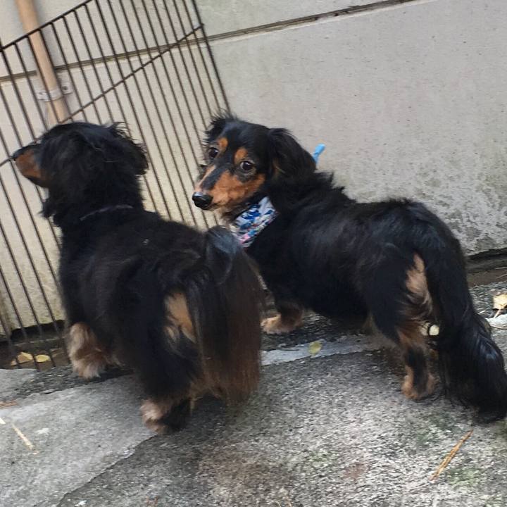 Eb40ddc4 a6a2 44b1 b969 6b52e1f749d5 1509881079060