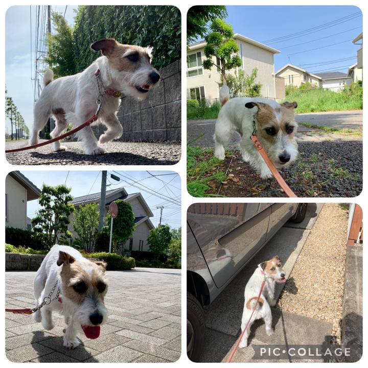 Eb40e330 a354 4a2f 8b46 5703af6fd315 1620537535387