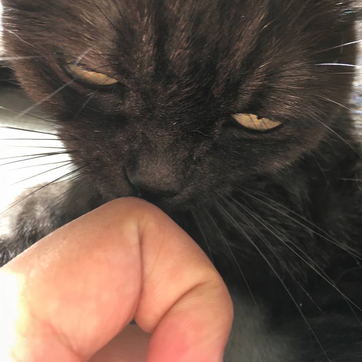 Eb40e453 f0d4 4356 94f1 6c58c1dbcd5d 1573959367554