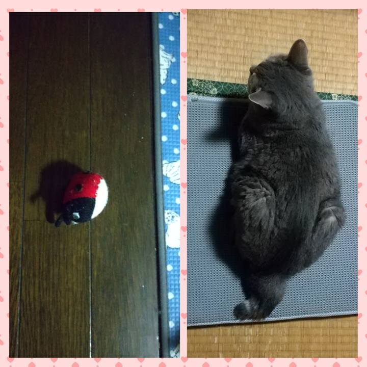 Eb40f070 c332 479c ac24 46a3b764deba 1663842363326