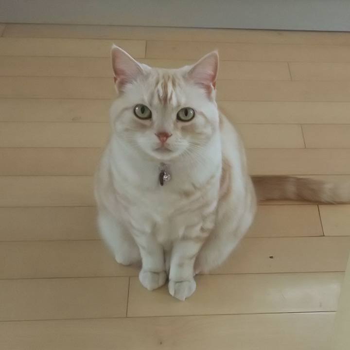 Eb40f615 d0d4 4f00 b2a7 8c4c9020104d 1558566544841