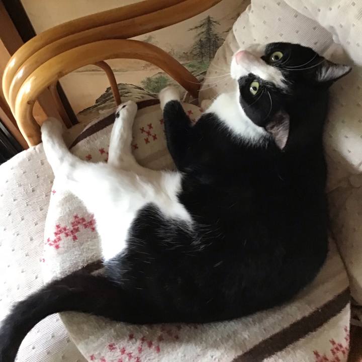 Eb410081 33f2 436f 8931 68d8267ecadb 1659776751120