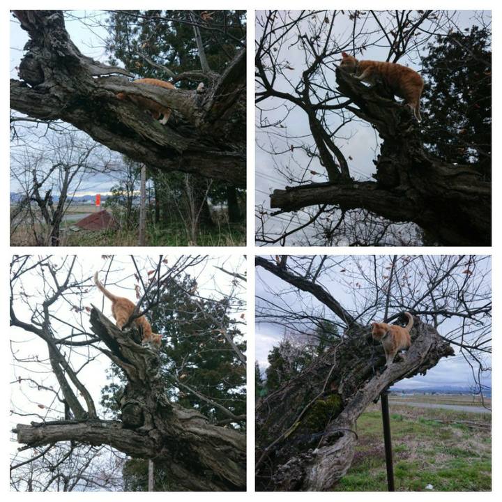 Eb41036b 9ebc 48ac 9fa2 dc7348fc0f03 1587287544422