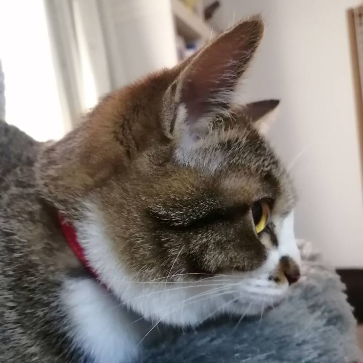 Eb4157b7 e41e 45df 90f9 59d74f1d2667 1671489666636