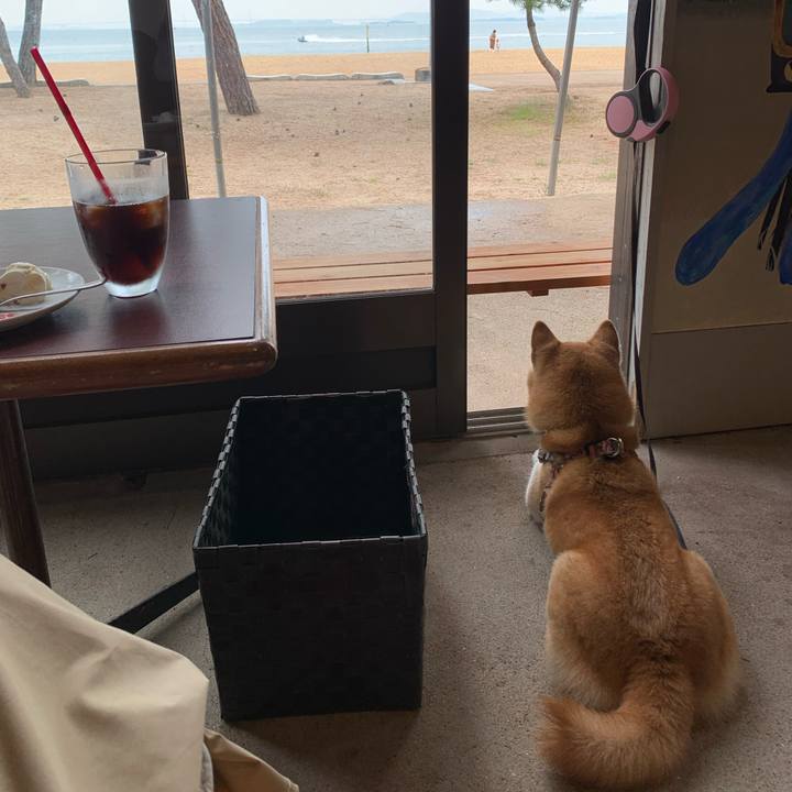 Eb418e80 d5ea 4474 8db4 c901b6779ff7 1654960751368