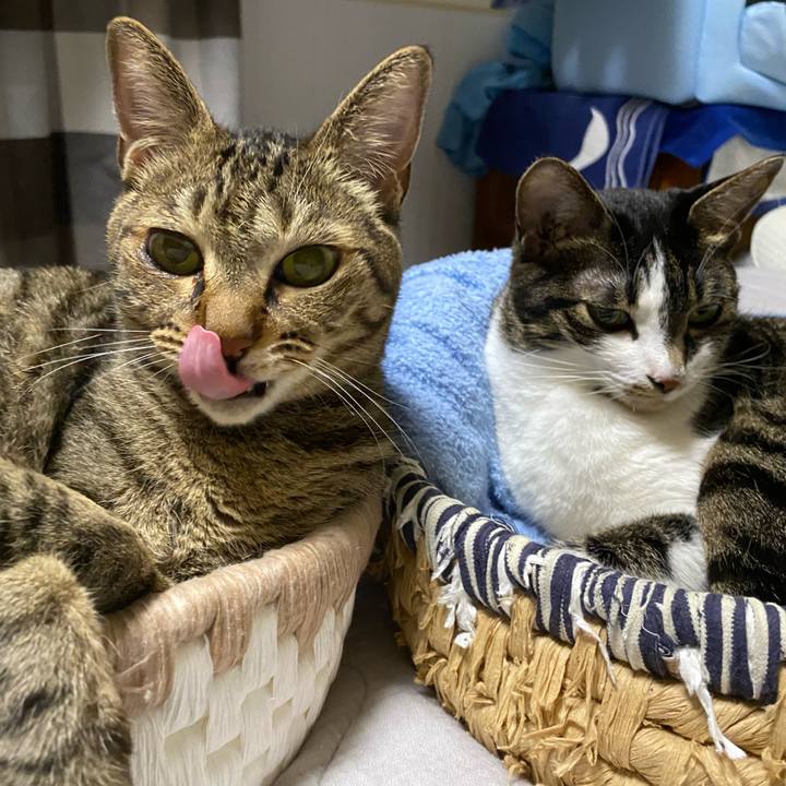 Eb41a4c8 a506 48fe a36b c3b57f8bbf32 1659735712434