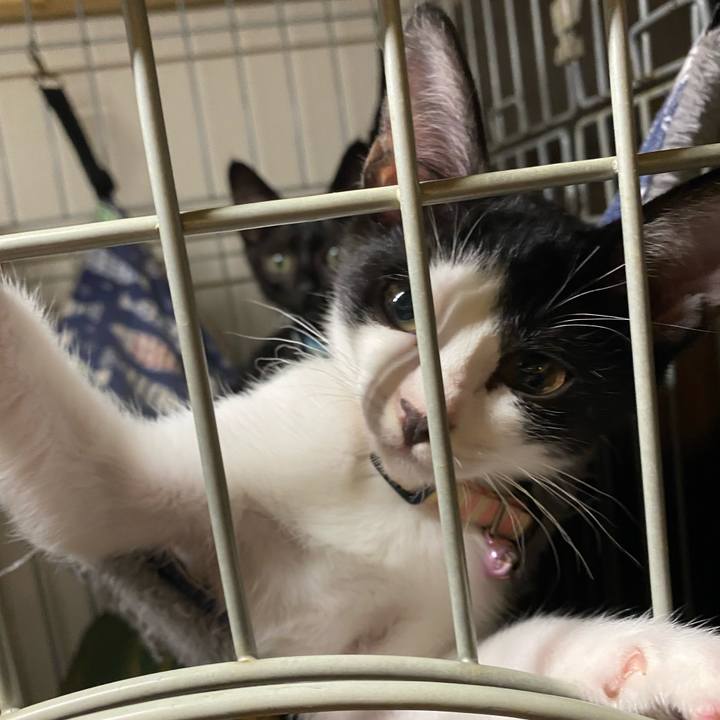 Eb41b4d2 c659 4a51 9717 9a68942a7655 1626693396944