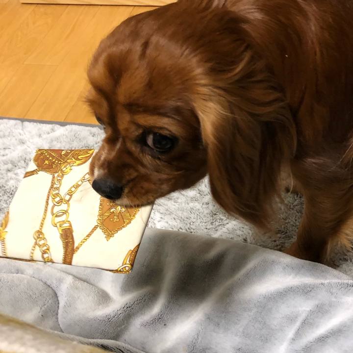 Eb41d3bc 4690 4769 b2ad e8ee9a50b657 1554378935176