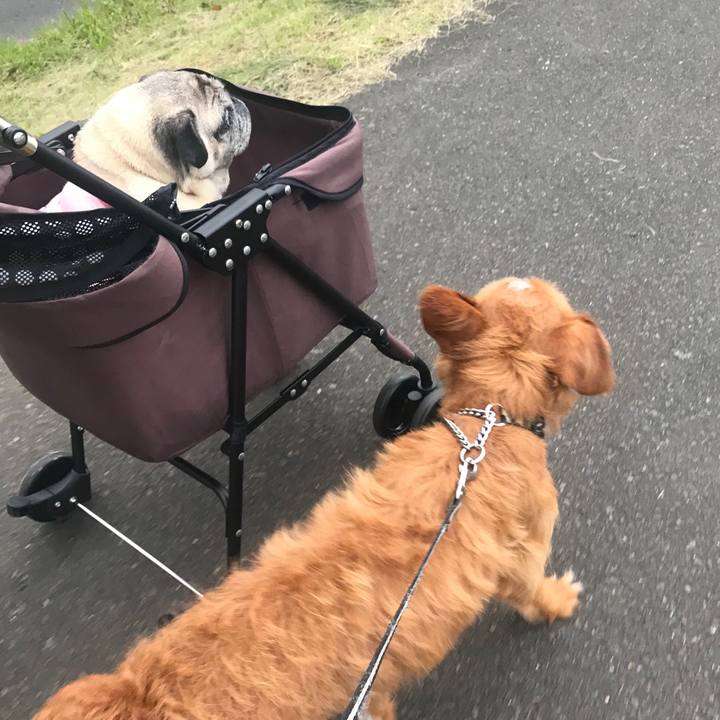 Eb41de24 3156 4c3a bc07 7a94f77bb1d7 1564138958595