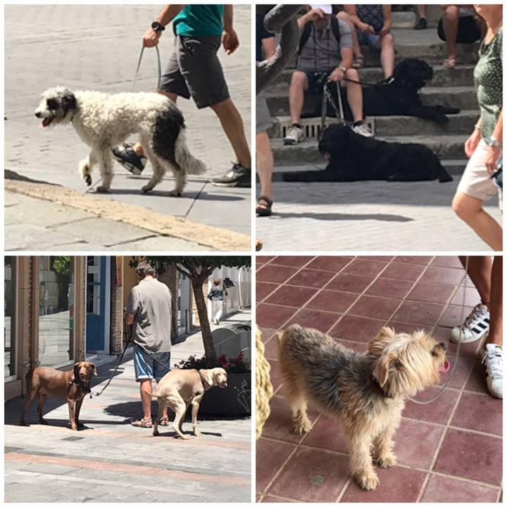 Eb41f4d7 ff64 4264 b60f 393c2be575ac 1561416254211